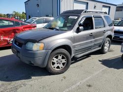 Ford Escape salvage cars for sale: 2002 Ford Escape XLT