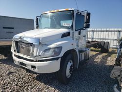 2019 Hino 258 268 for sale in Avon, MN