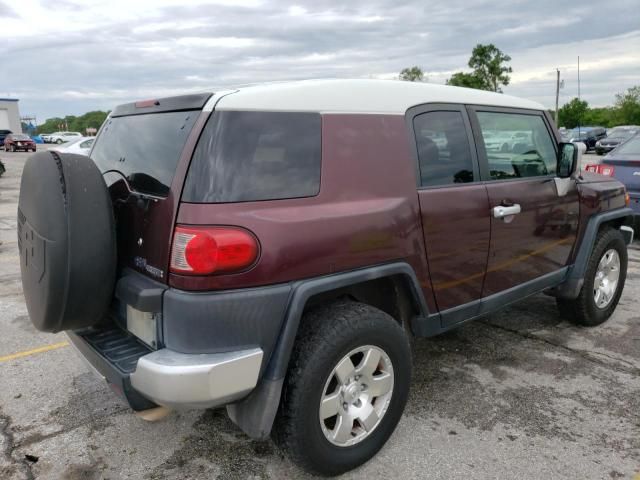 2007 Toyota FJ Cruiser