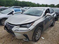 Vehiculos salvage en venta de Copart Grand Prairie, TX: 2021 Lexus NX 300 Base