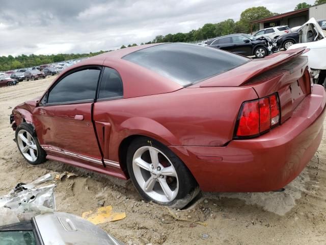 2000 Ford Mustang