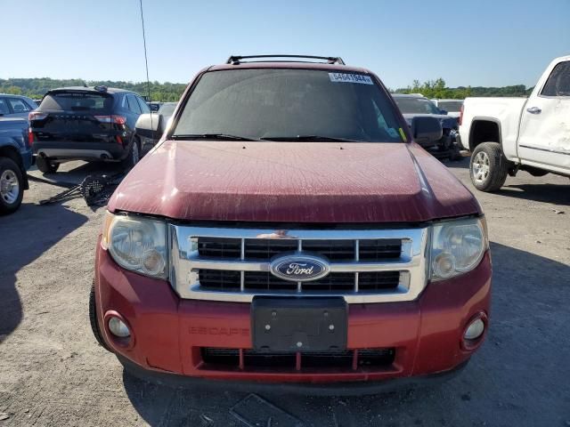 2011 Ford Escape XLT