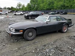 Jaguar salvage cars for sale: 1989 Jaguar XJS Collection Rouge