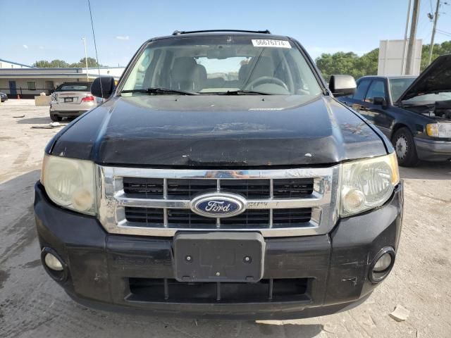 2010 Ford Escape XLT