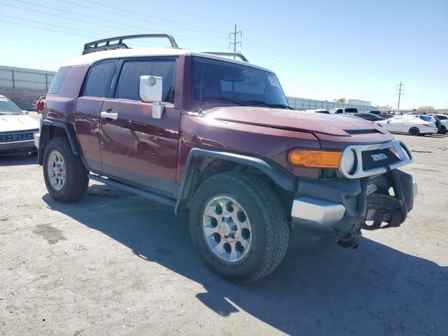 2011 Toyota FJ Cruiser