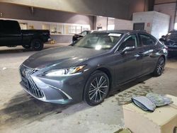 Vehiculos salvage en venta de Copart Sandston, VA: 2023 Lexus ES 350 Base