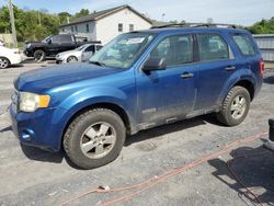 Salvage cars for sale from Copart York Haven, PA: 2008 Ford Escape XLS