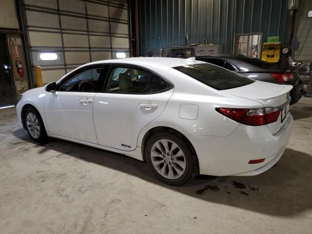 2015 Lexus ES 300H