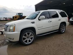 2007 Cadillac Escalade Luxury for sale in Houston, TX