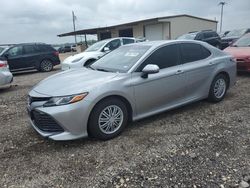 Toyota salvage cars for sale: 2019 Toyota Camry LE