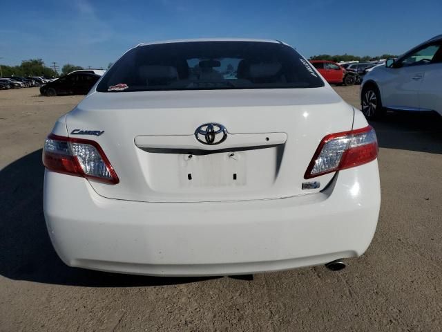 2009 Toyota Camry Hybrid