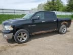 2009 Dodge RAM 1500