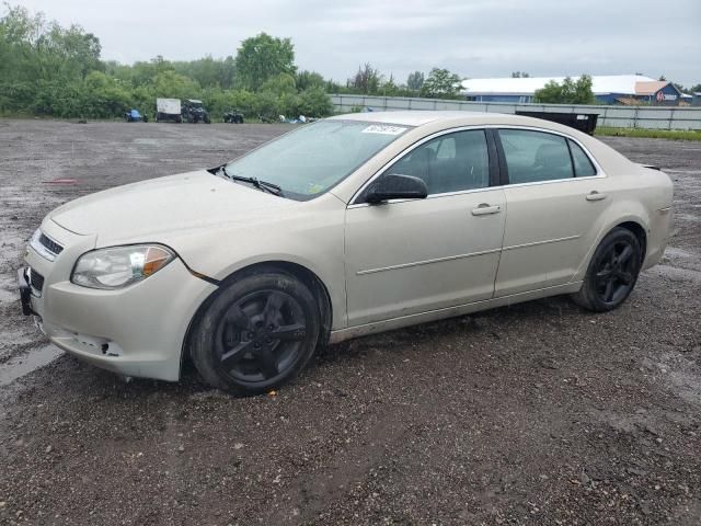 2010 Chevrolet Malibu LS