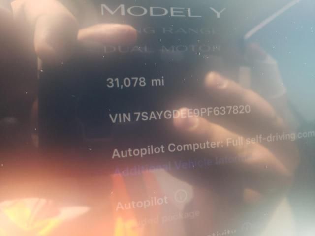 2023 Tesla Model Y