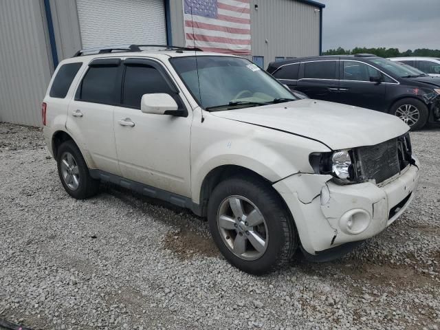 2011 Ford Escape Limited