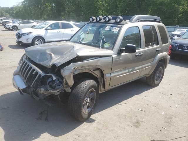 2003 Jeep Liberty Renegade