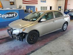 2010 Toyota Corolla Base for sale in Angola, NY