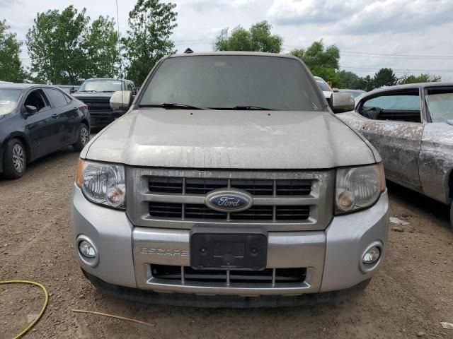 2009 Ford Escape Limited