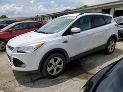 Ford Escape Vehiculos salvage en venta: 2016 Ford Escape SE