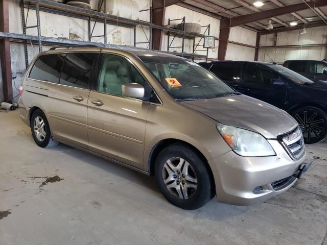 2005 Honda Odyssey EXL