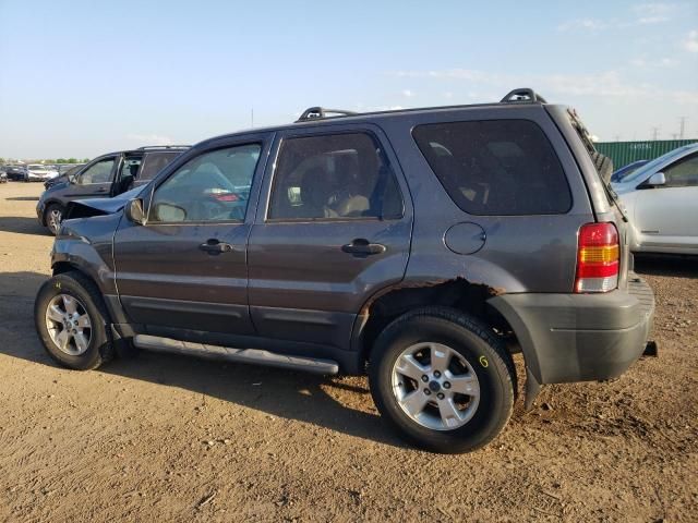 2006 Ford Escape XLT