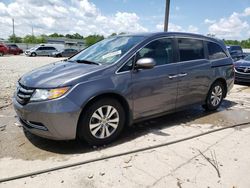 2017 Honda Odyssey SE en venta en Louisville, KY
