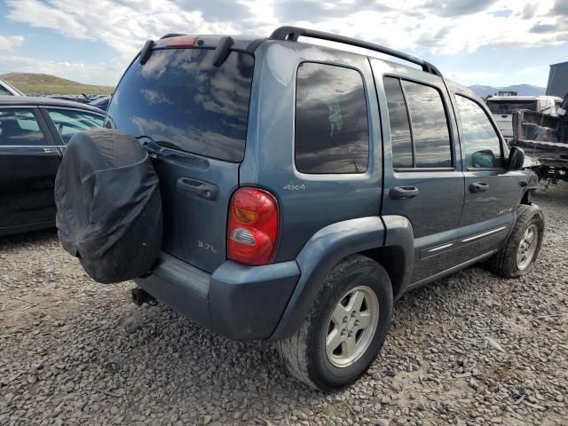 2002 Jeep Liberty Limited