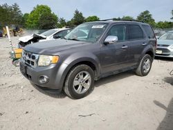 2010 Ford Escape XLT en venta en Madisonville, TN