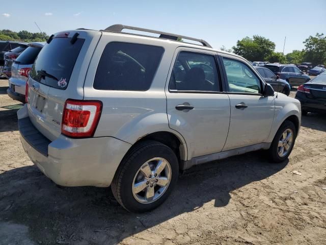 2009 Ford Escape XLT