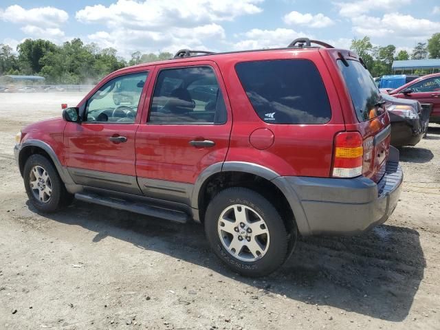 2005 Ford Escape XLT