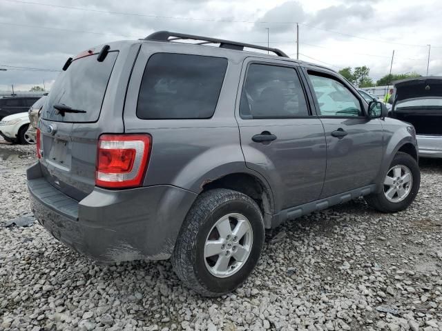 2010 Ford Escape XLT