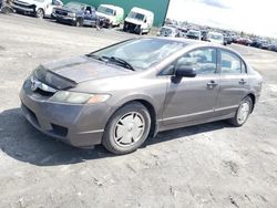 Honda Civic dx-g salvage cars for sale: 2010 Honda Civic DX-G