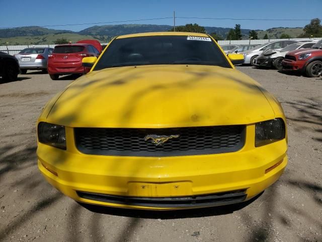 2005 Ford Mustang