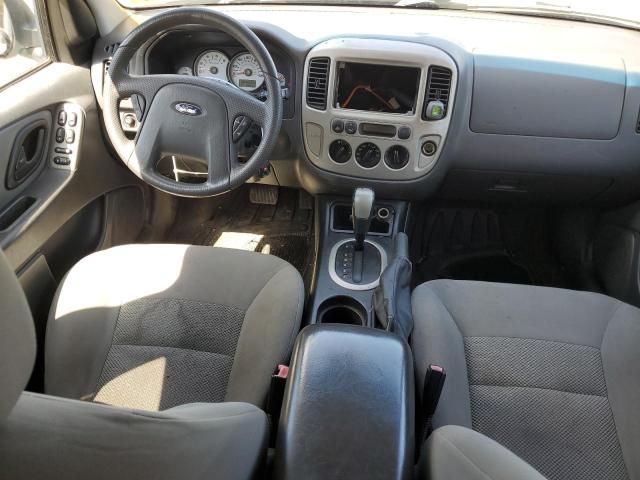 2006 Ford Escape XLT