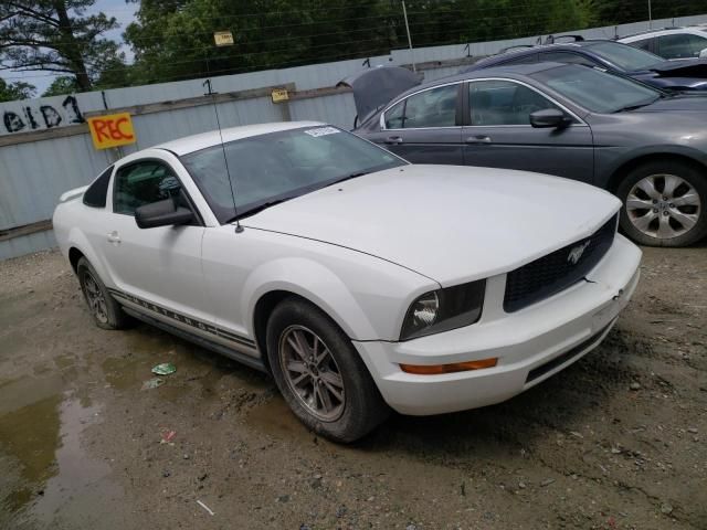 2005 Ford Mustang