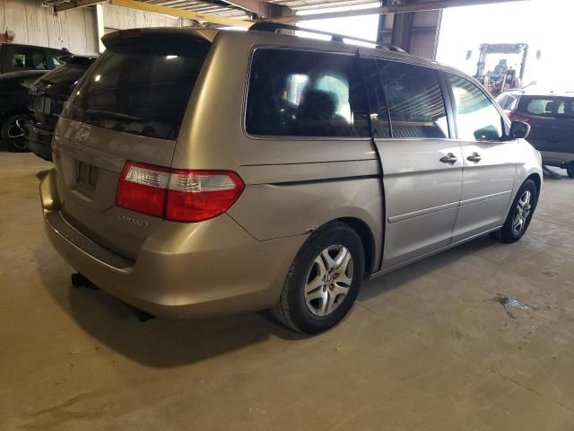 2005 Honda Odyssey EXL