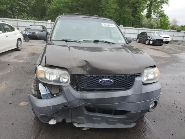 2007 Ford Escape XLT