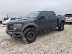 2014 Ford F150 SVT Raptor for sale in New Braunfels, TX