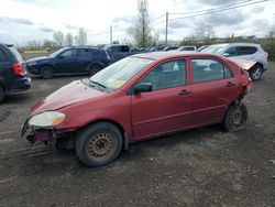 Vehiculos salvage en venta de Copart Montreal Est, QC: 2005 Toyota Corolla CE