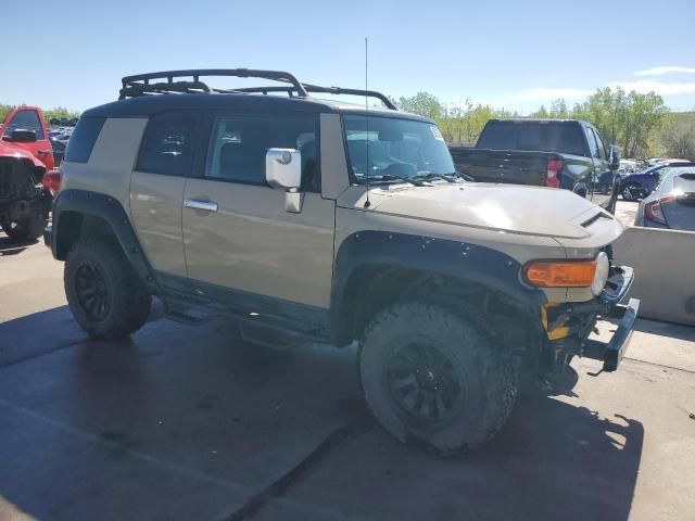 2007 Toyota FJ Cruiser