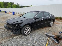 Honda salvage cars for sale: 2009 Honda Accord EXL