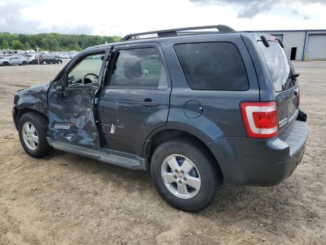 2008 Ford Escape XLT