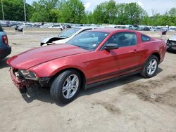 Vehiculos salvage en venta de Copart Marlboro, NY: 2011 Ford Mustang