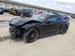 Ford salvage cars for sale: 2019 Ford Mustang