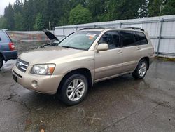 Toyota salvage cars for sale: 2007 Toyota Highlander Hybrid