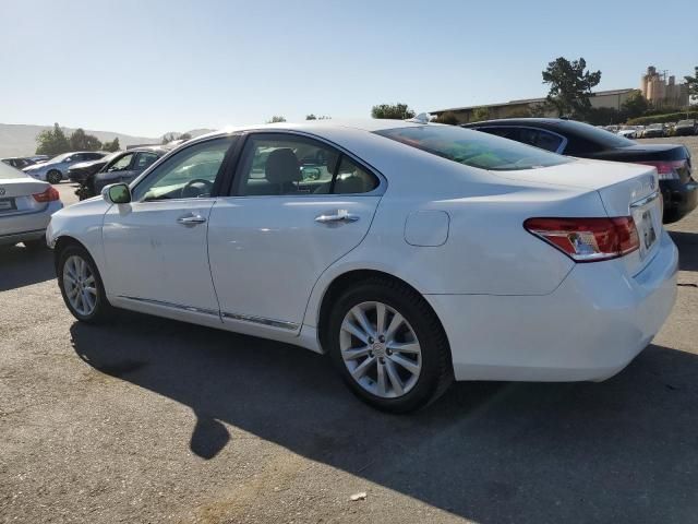 2011 Lexus ES 350