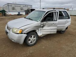 2004 Ford Escape Limited for sale in Bismarck, ND