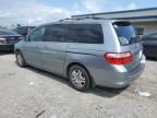 2005 Honda Odyssey EXL