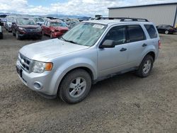 2010 Ford Escape XLS for sale in Helena, MT