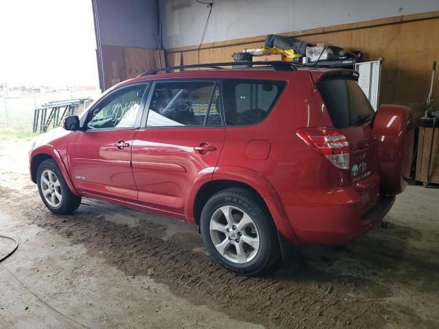 2010 Toyota Rav4 Limited